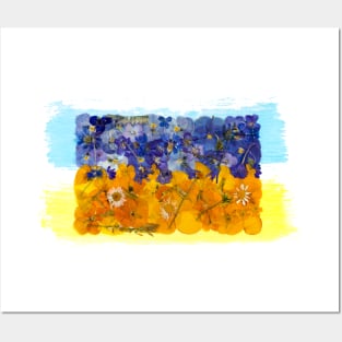 Ukrainian flag made from pressed dried flowers from the Kiev region. Posters and Art